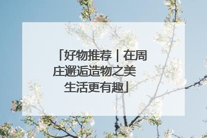 好物推荐｜在周庄邂逅造物之美 生活更有趣