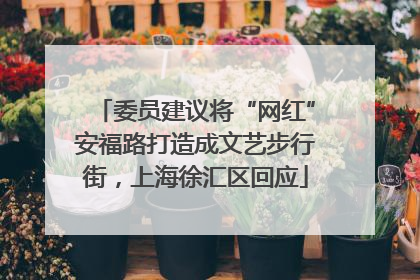 委员建议将“网红”安福路打造成文艺步行街，上海徐汇区回应