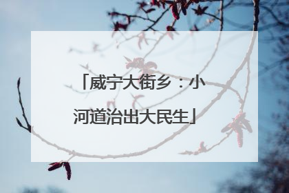 威宁大街乡：小河道治出大民生