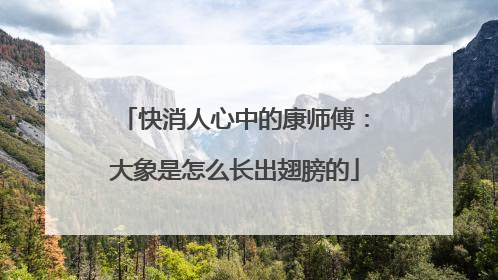 快消人心中的康师傅：大象是怎么长出翅膀的