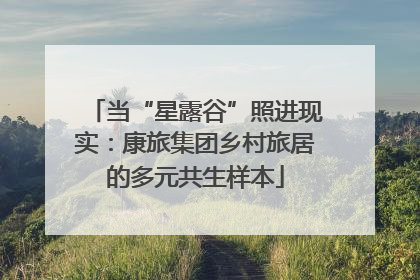 当“星露谷”照进现实：康旅集团乡村旅居的多元共生样本