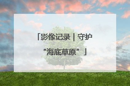 影像记录｜守护“海底草原”