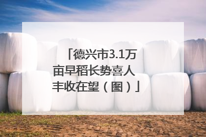 德兴市3.1万亩早稻长势喜人 丰收在望（图）