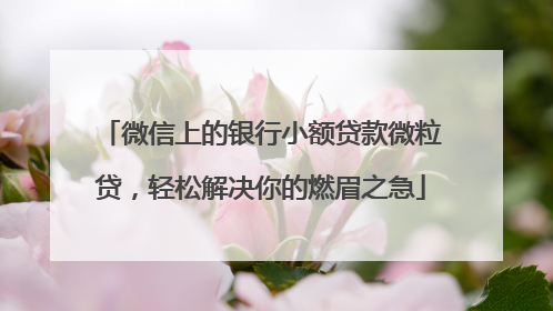 微信上的银行小额贷款微粒贷，轻松解决你的燃眉之急