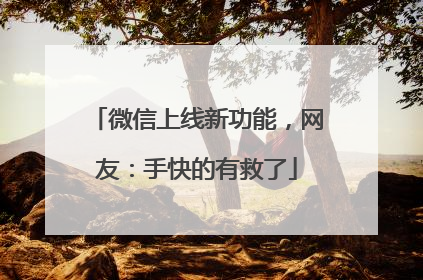 微信上线新功能，网友：手快的有救了