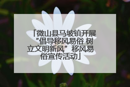 微山县马坡镇开展“倡导移风易俗 树立文明新风”移风易俗宣传活动