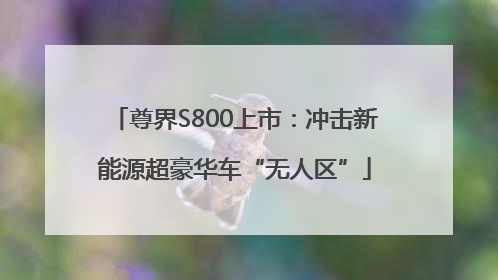 尊界S800上市：冲击新能源超豪华车“无人区”