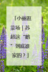 小丽逛菜场｜苏超这“鹅”到底谁家的？