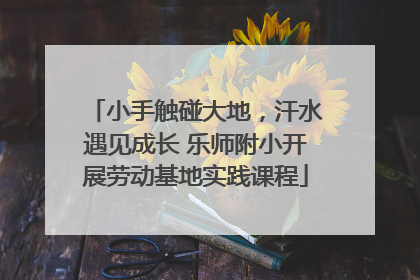 小手触碰大地，汗水遇见成长 乐师附小开展劳动基地实践课程