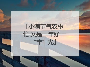 小满节气农事忙 又是一年好“丰”光