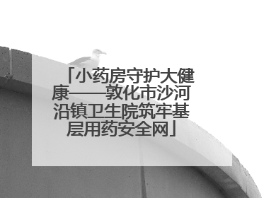 小药房守护大健康——敦化市沙河沿镇卫生院筑牢基层用药安全网
