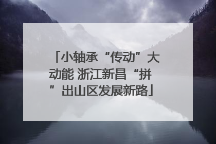 小轴承“传动”大动能 浙江新昌“拼”出山区发展新路