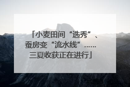 小麦田间“选秀”、蚕房变“流水线”……三夏收获正在进行