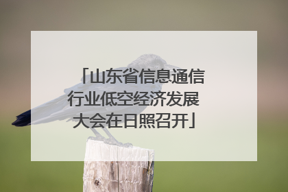 山东省信息通信行业低空经济发展大会在日照召开