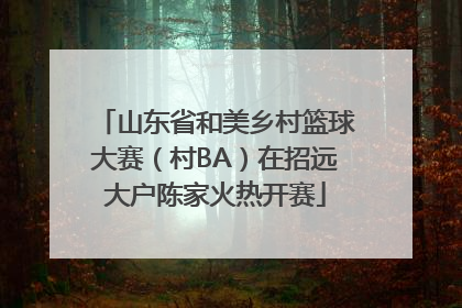 山东省和美乡村篮球大赛（村BA）在招远大户陈家火热开赛