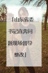 山东省委书记直奔问题现场督导整改
