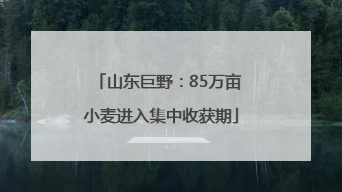 山东巨野：85万亩小麦进入集中收获期