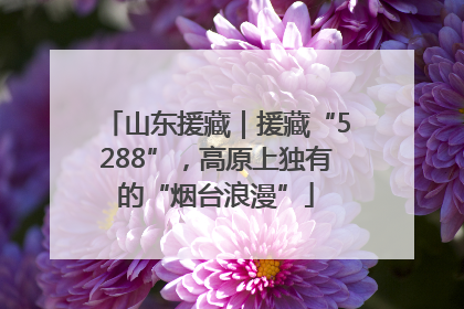 山东援藏｜援藏“5288”，高原上独有的“烟台浪漫”