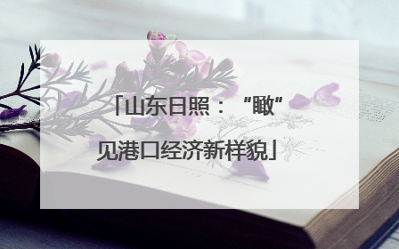 山东日照：“瞰”见港口经济新样貌