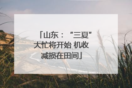 山东：“三夏”大忙将开始 机收减损在田间