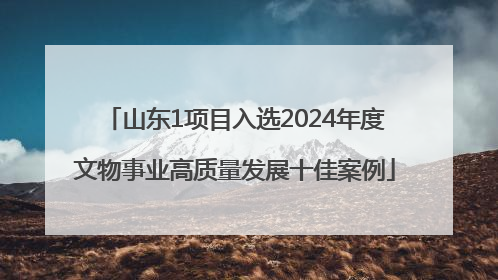 山东1项目入选2024年度文物事业高质量发展十佳案例