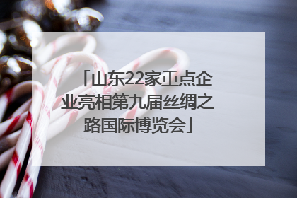 山东22家重点企业亮相第九届丝绸之路国际博览会