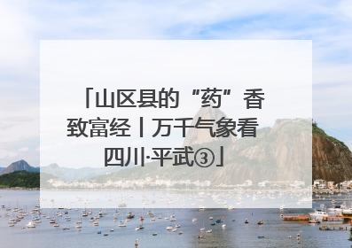 山区县的“药”香致富经丨万千气象看四川·平武③