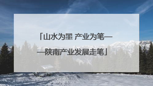 山水为墨 产业为笔——陕南产业发展走笔