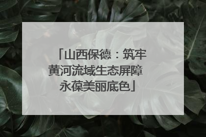山西保德：筑牢黄河流域生态屏障 永葆美丽底色