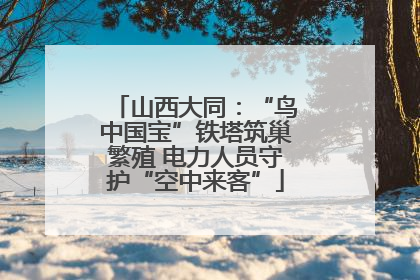 山西大同：“鸟中国宝”铁塔筑巢繁殖 电力人员守护“空中来客”