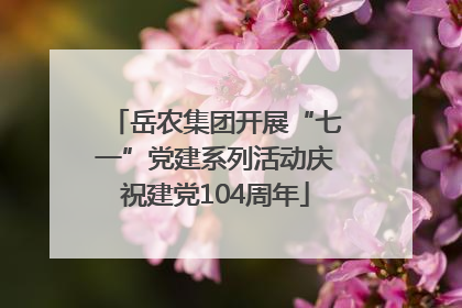 岳农集团开展“七一”党建系列活动庆祝建党104周年