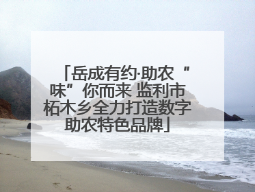 岳成有约·助农“味”你而来 监利市柘木乡全力打造数字助农特色品牌