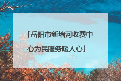 岳阳市新墙河收费中心为民服务暖人心