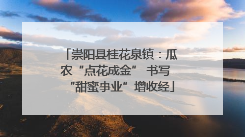 崇阳县桂花泉镇：瓜农“点花成金” 书写“甜蜜事业”增收经