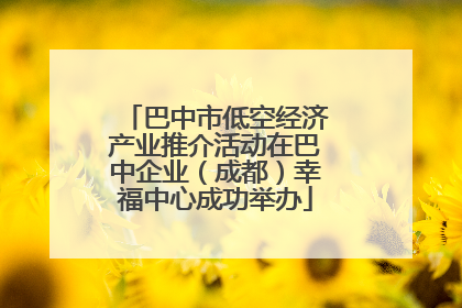 巴中市低空经济产业推介活动在巴中企业（成都）幸福中心成功举办