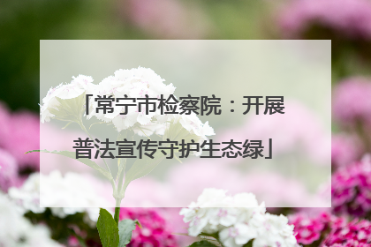 常宁市检察院：开展普法宣传守护生态绿