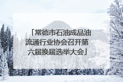 常德市石油成品油流通行业协会召开第六届换届选举大会