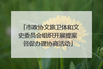 市政协文旅卫体和文史委员会组织开展提案督促办理协商活动