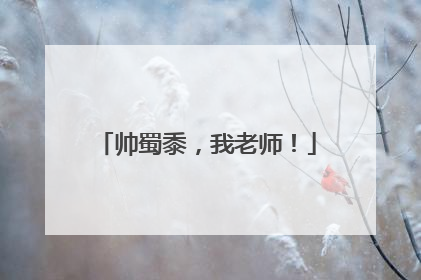 帅蜀黍，我老师！