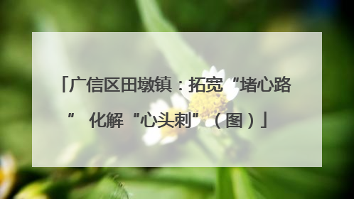 广信区田墩镇：拓宽“堵心路” 化解“心头刺”（图）