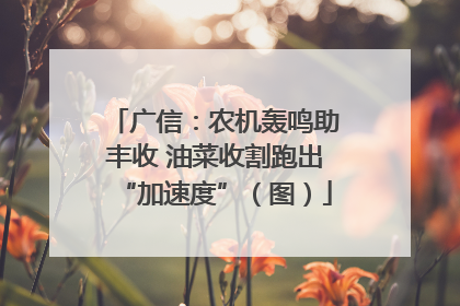 广信：农机轰鸣助丰收 油菜收割跑出“加速度”（图）