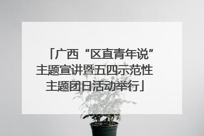 广西“区直青年说”主题宣讲暨五四示范性主题团日活动举行