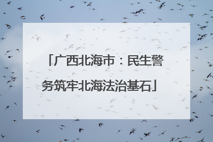广西北海市：民生警务筑牢北海法治基石