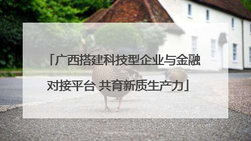 广西搭建科技型企业与金融对接平台 共育新质生产力