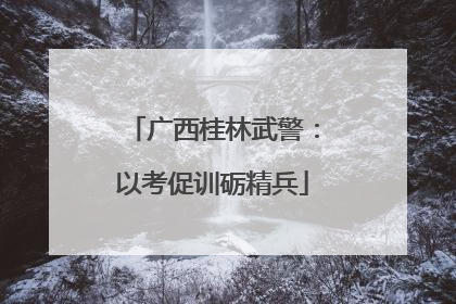 广西桂林武警：以考促训砺精兵