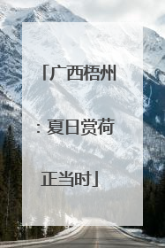 广西梧州：夏日赏荷正当时