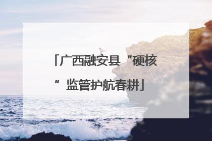 广西融安县“硬核”监管护航春耕