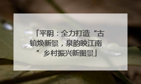 平阴：全力打造“古镇焕新景，泉韵映江南”乡村振兴新图景