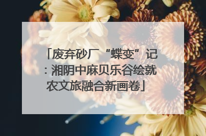 废弃砂厂“蝶变”记：湘阴中麻贝乐谷绘就农文旅融合新画卷