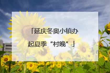 延庆冬奥小镇办起夏季“村晚”